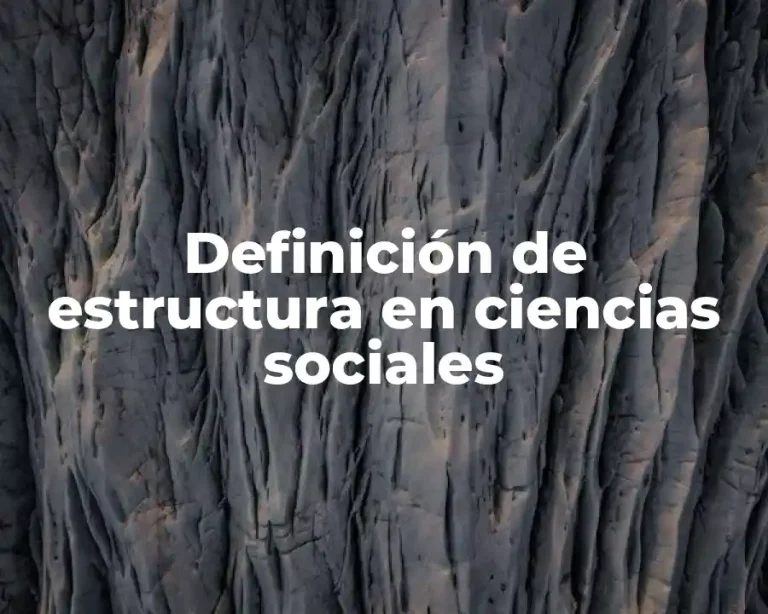 Definición de estructura en ciencias sociales