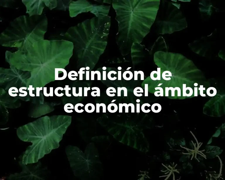 Definición de estructura en el ámbito económico