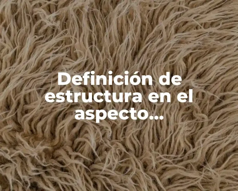 Definición de estructura en el aspecto socioeconómico