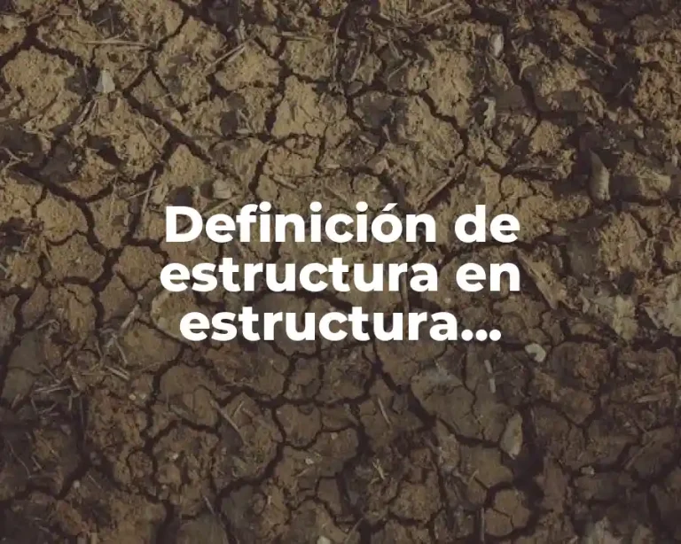 Definición de estructura en estructura socioeconomica de México