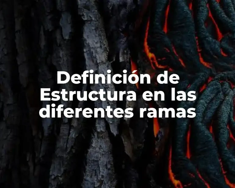 Definición de Estructura en las diferentes ramas