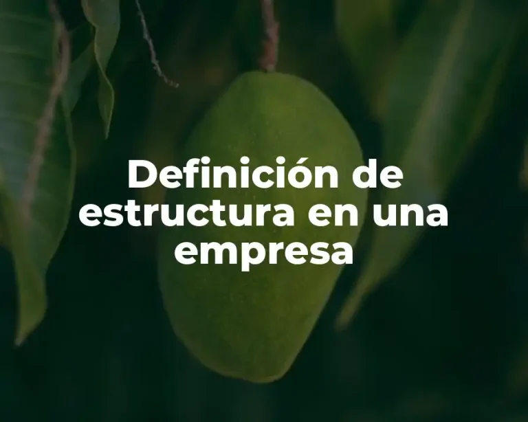 Definición de estructura en una empresa