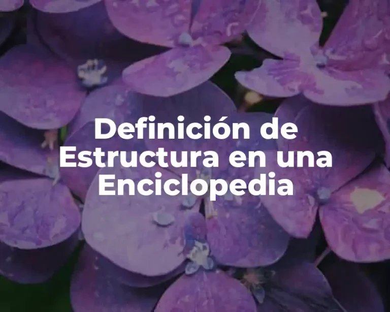 Definición de Estructura en una Enciclopedia