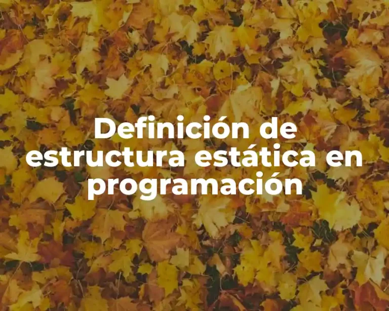 Definición de estructura estática en programación