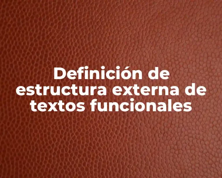 Definición de estructura externa de textos funcionales