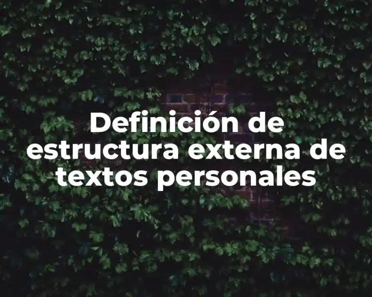 Definición de estructura externa de textos personales
