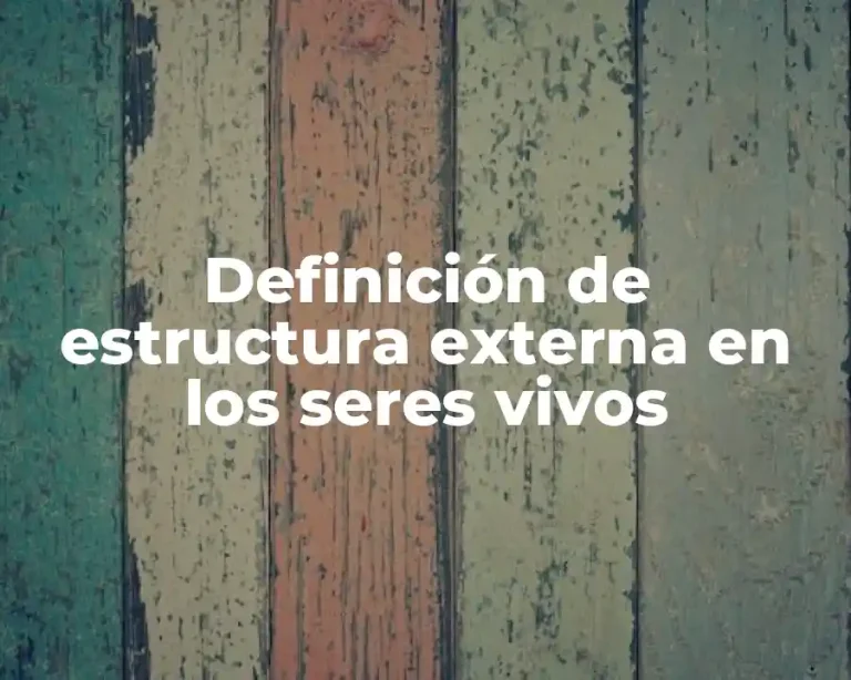 Definición de estructura externa en los seres vivos