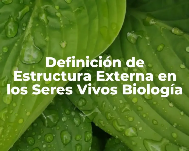 Definición de Estructura Externa en los Seres Vivos Biología