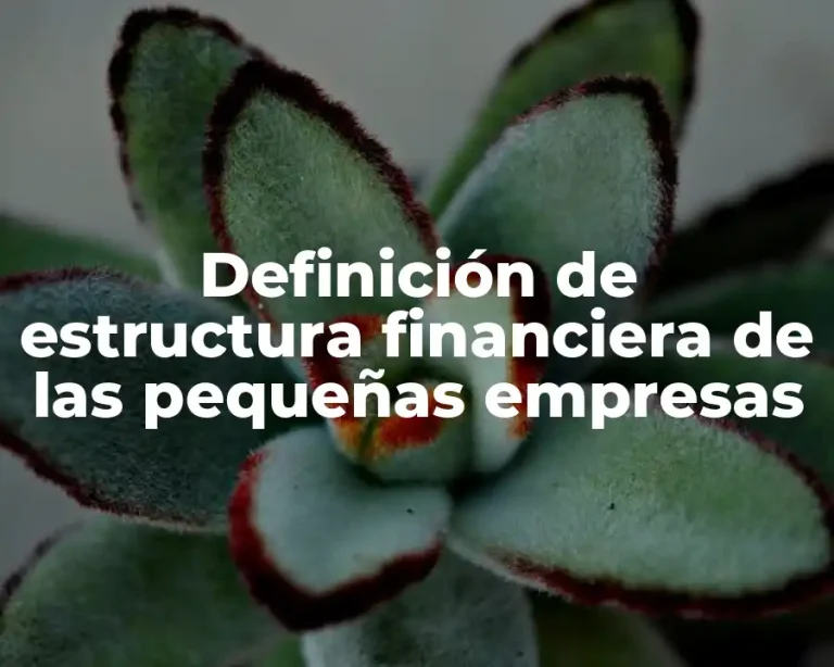 Definición de estructura financiera de las pequeñas empresas