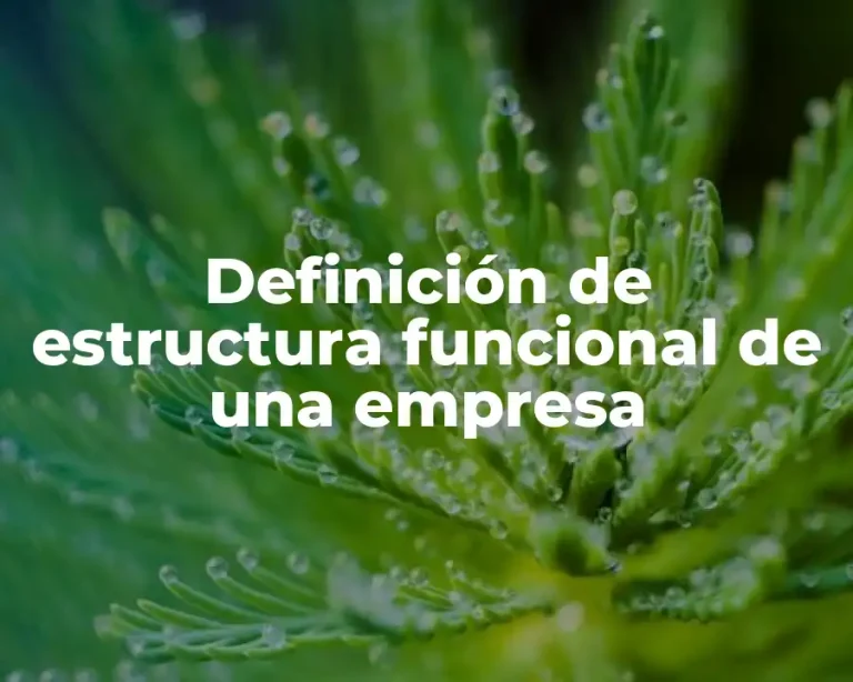 Definición de estructura funcional de una empresa