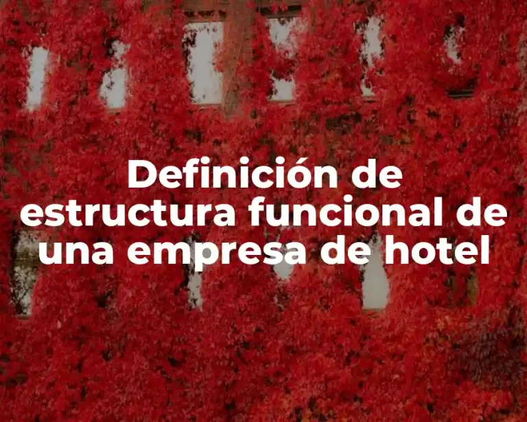 Definición de estructura funcional de una empresa de hotel