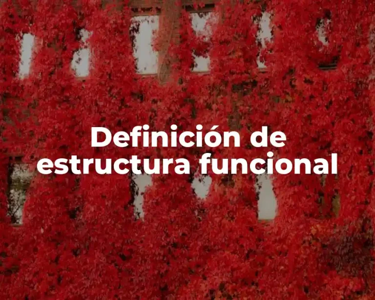 Definición de estructura funcional