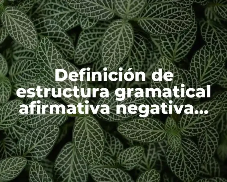 Definición de estructura gramatical afirmativa negativa interrogativa en inglés