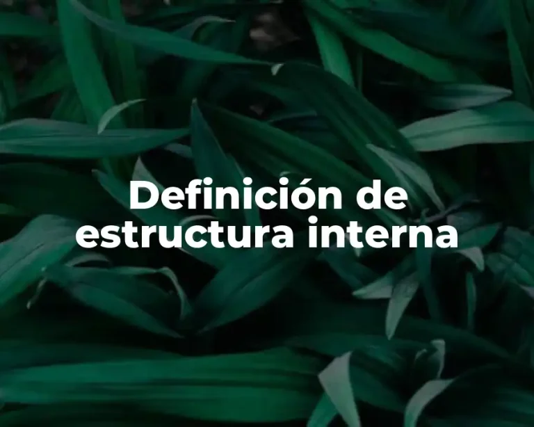 Definición de estructura interna