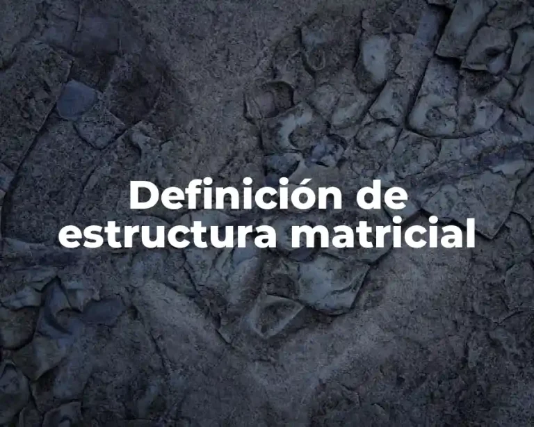 Definición de estructura matricial