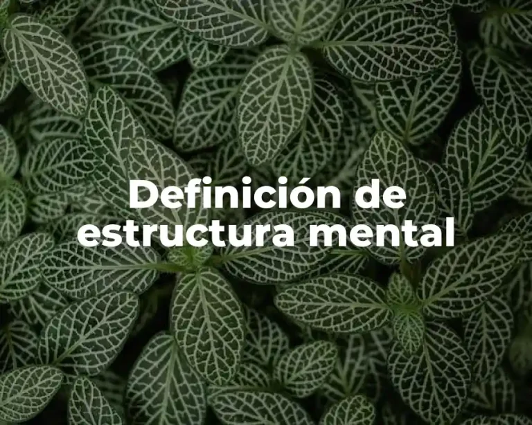 Definición de estructura mental