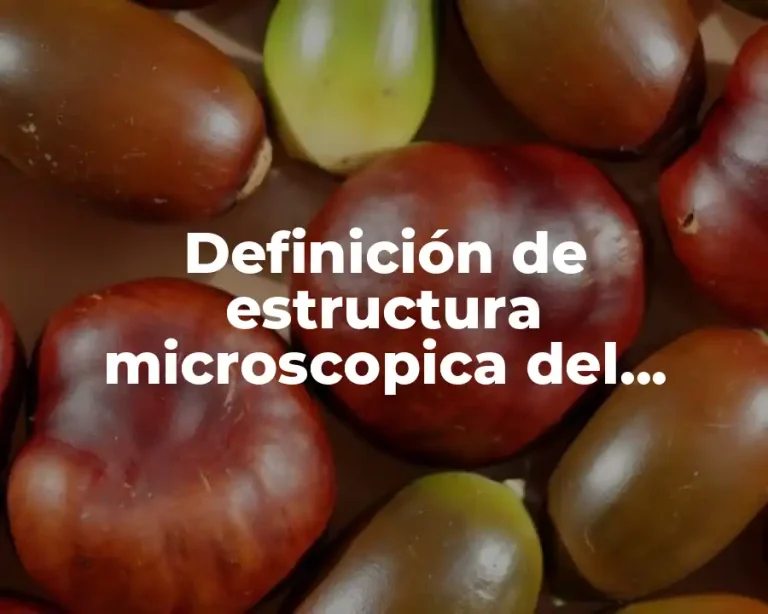 Definición de estructura microscopica del musculo