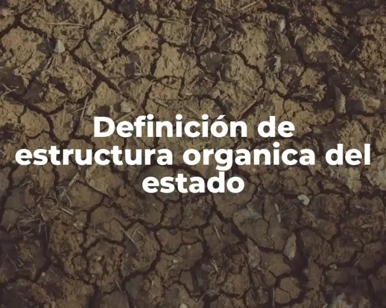 Definición de estructura organica del estado
