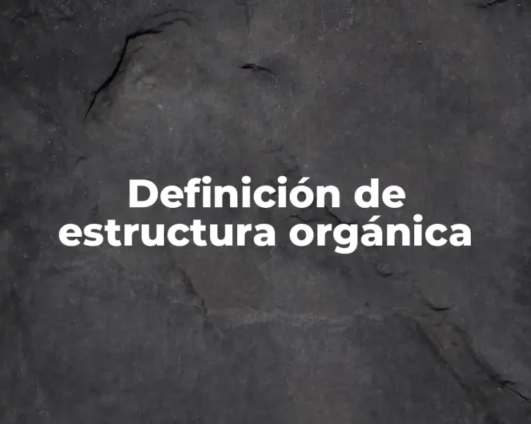 Definición de estructura orgánica