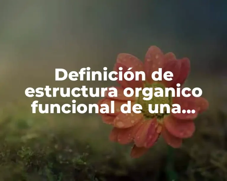 Definición de estructura organico funcional de una empresa