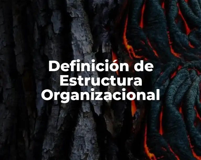 Definición de Estructura Organizacional
