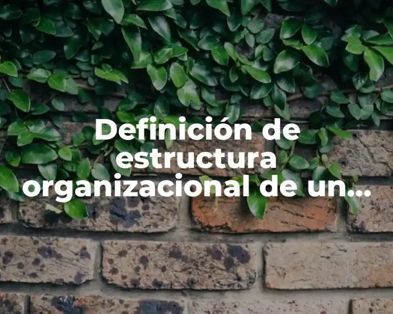 Definición de estructura organizacional de un proyecto