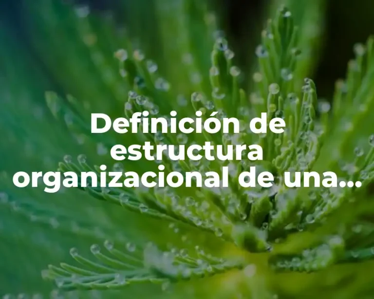 Definición de estructura organizacional de una empresa