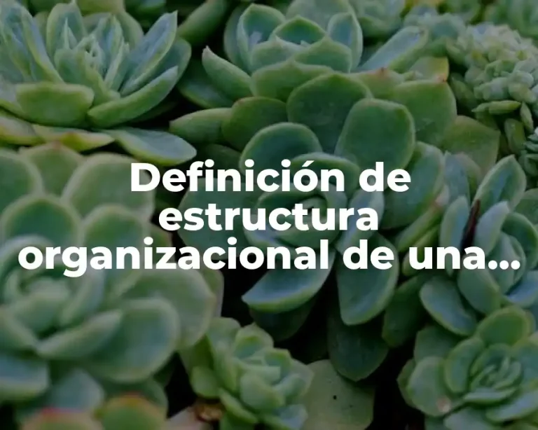Definición de estructura organizacional de una institución educativa