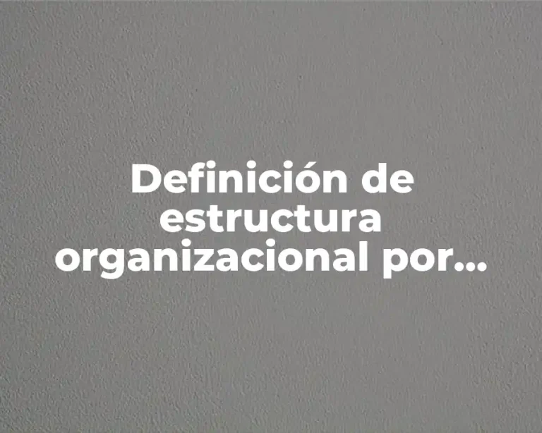 Definición de estructura organizacional por elección y por nombramiento