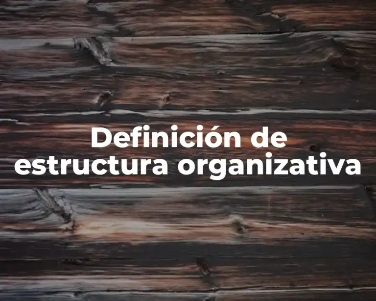 Definición de estructura organizativa