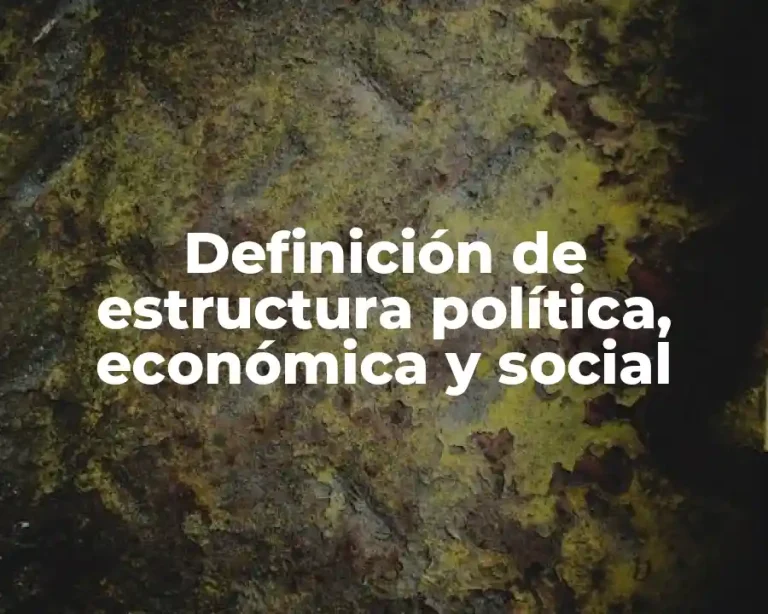 Definición de estructura política, económica y social