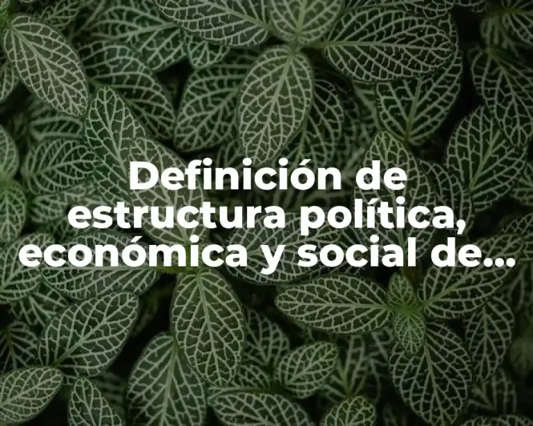 Definición de estructura política, económica y social de México