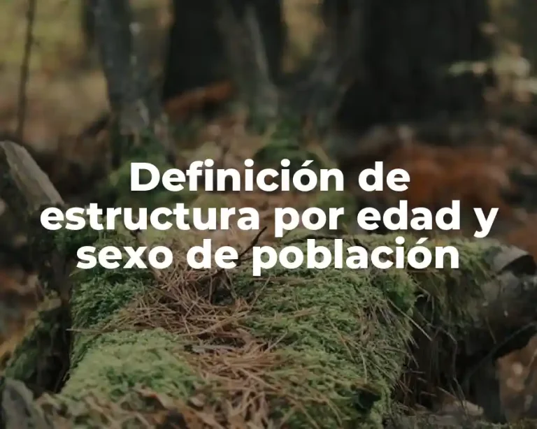 Definición de estructura por edad y sexo de población