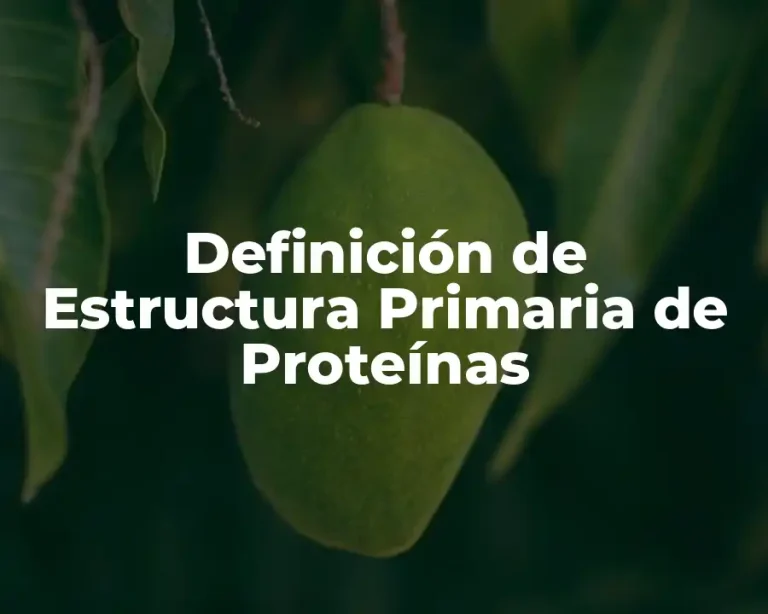 Definición de Estructura Primaria de Proteínas