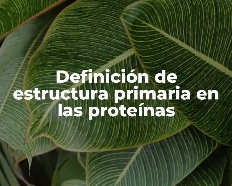 Definición de estructura primaria en las proteínas