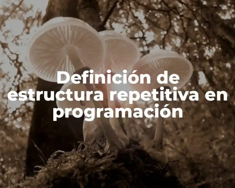 Definición de estructura repetitiva en programación
