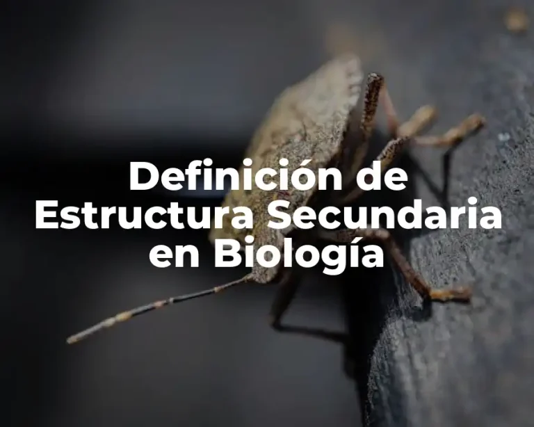 Definición de Estructura Secundaria en Biología