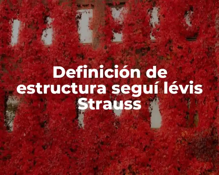 Definición de estructura seguí lévis Strauss