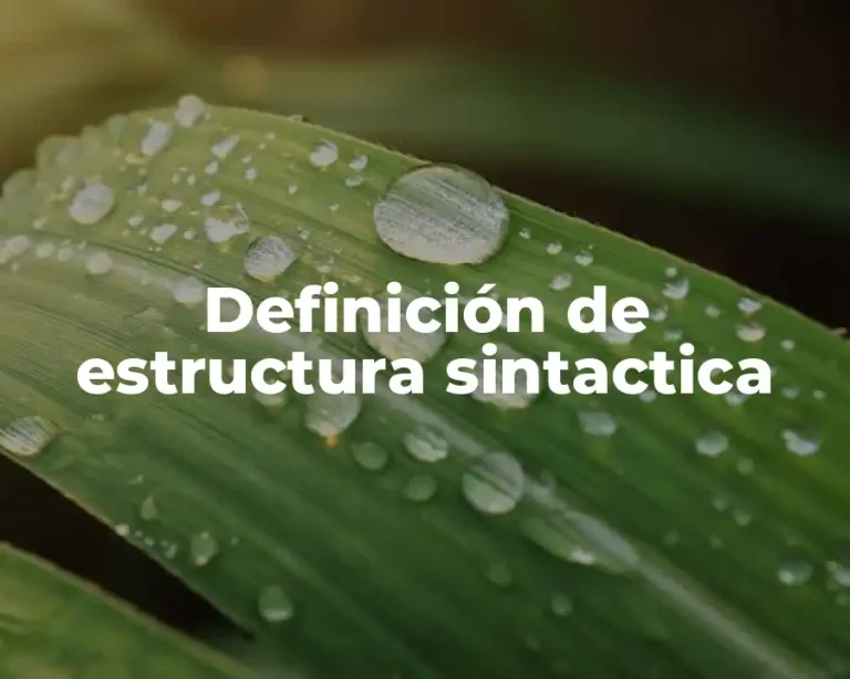 Definición de estructura sintactica