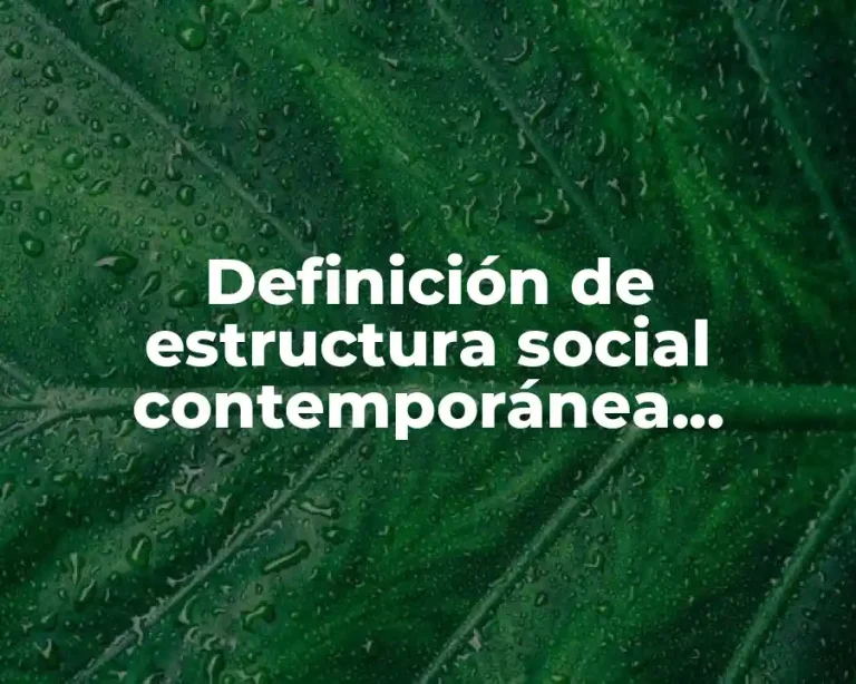 Definición de estructura social contemporánea guatemalteca