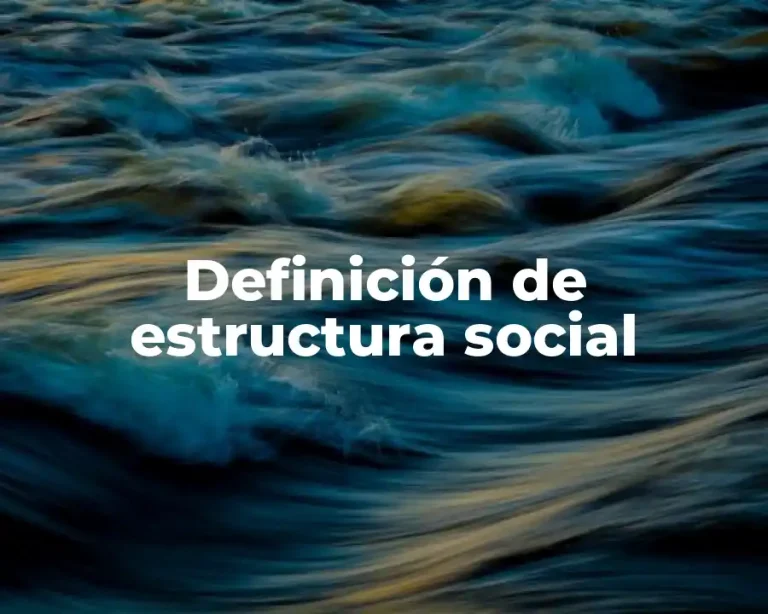 Definición de estructura social