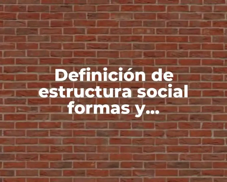 Definición de estructura social formas y funcionamientos