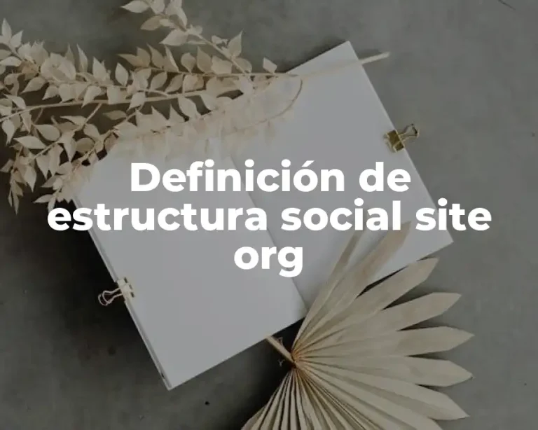 Definición de estructura social site org