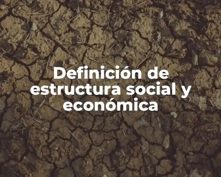 Definición de estructura social y económica