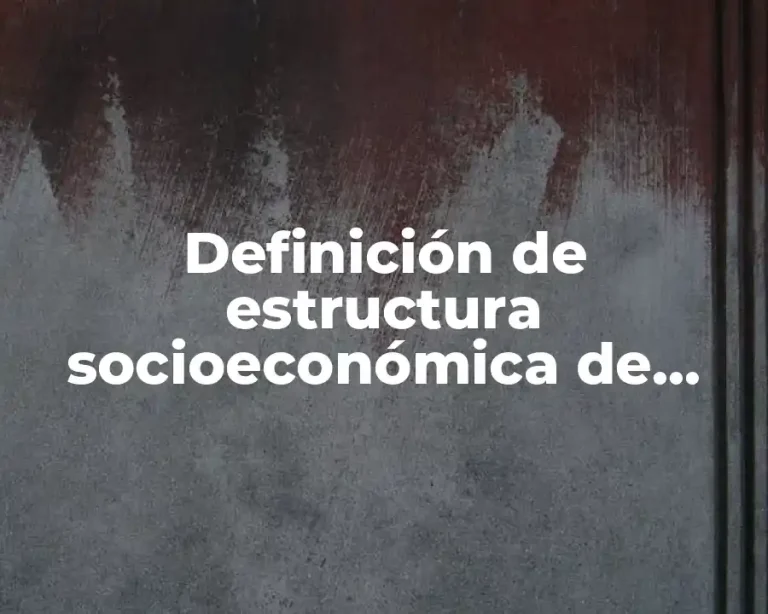 Definición de estructura socioeconómica de México