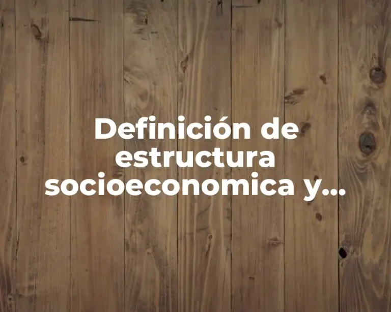 Definición de estructura socioeconomica y politica de Mexico