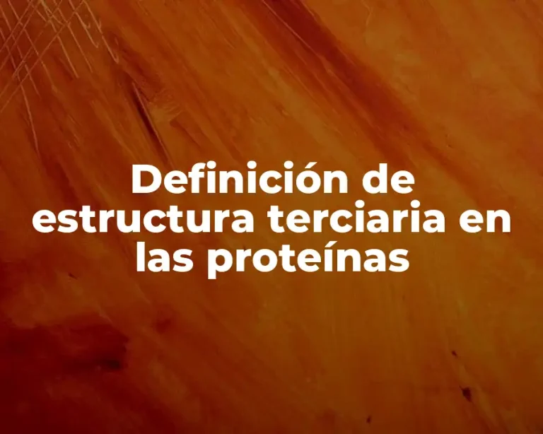 Definición de estructura terciaria en las proteínas