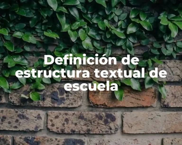 Definición de estructura textual de escuela