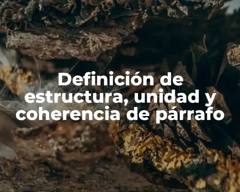 Definición de estructura, unidad y coherencia de párrafo