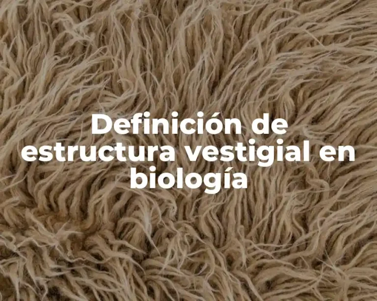 Definición de estructura vestigial en biología
